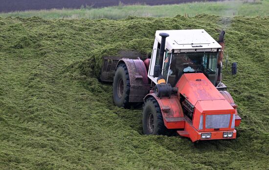 Russia Agriculture Alfalfa Harvesting