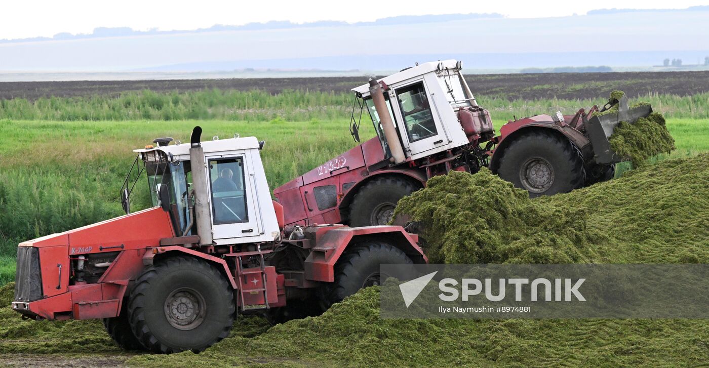 Russia Agriculture Alfalfa Harvesting