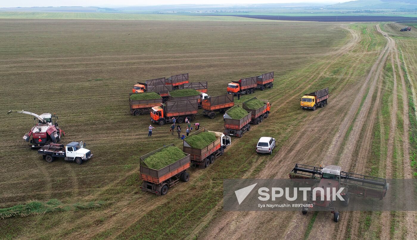 Russia Agriculture Alfalfa Harvesting