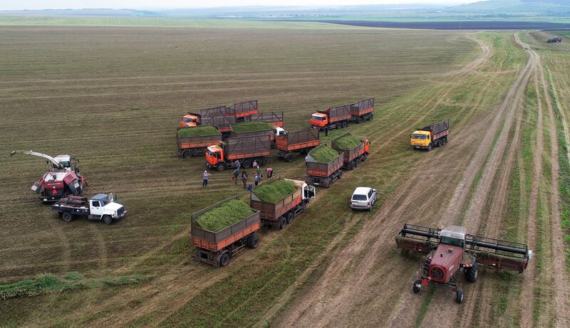 Russia Agriculture Alfalfa Harvesting