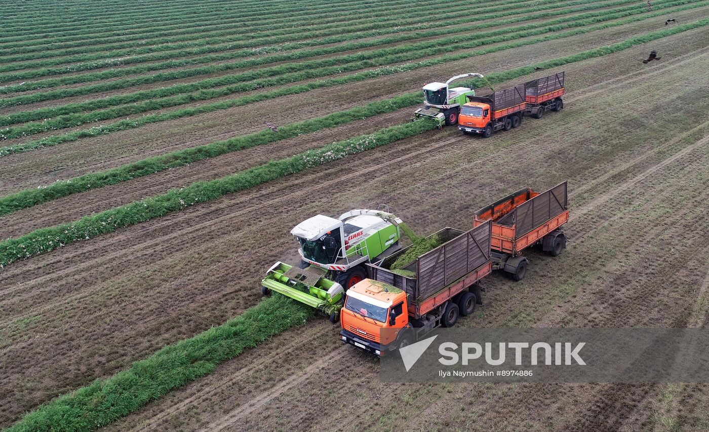 Russia Agriculture Alfalfa Harvesting