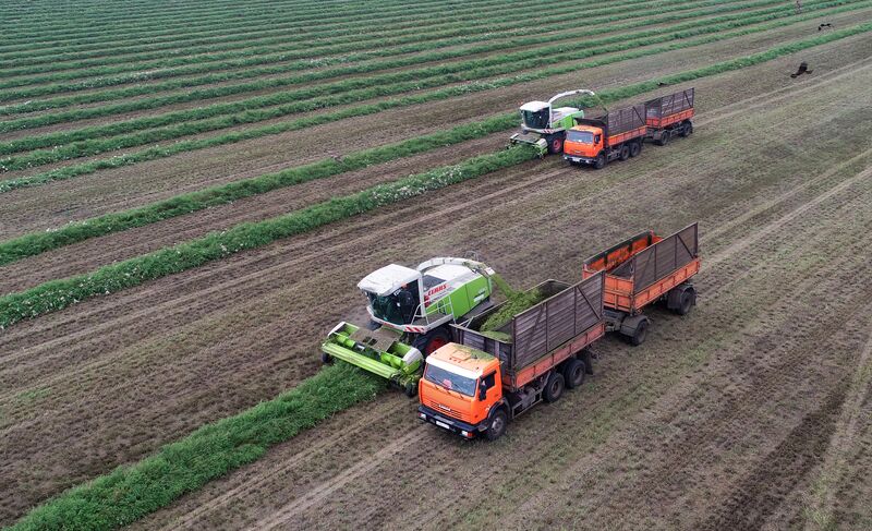 Russia Agriculture Alfalfa Harvesting