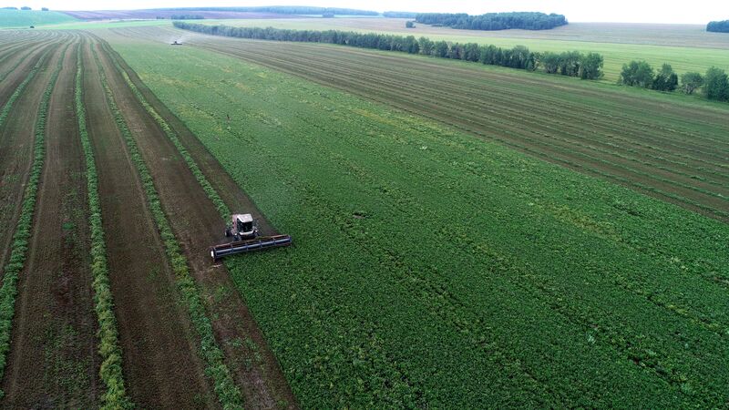Russia Agriculture Alfalfa Harvesting