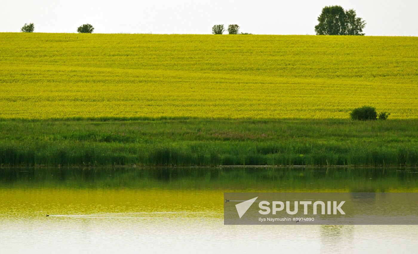 Russia Agriculture Grain Crops