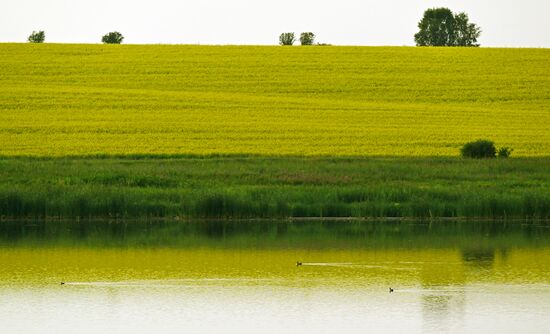 Russia Agriculture Grain Crops