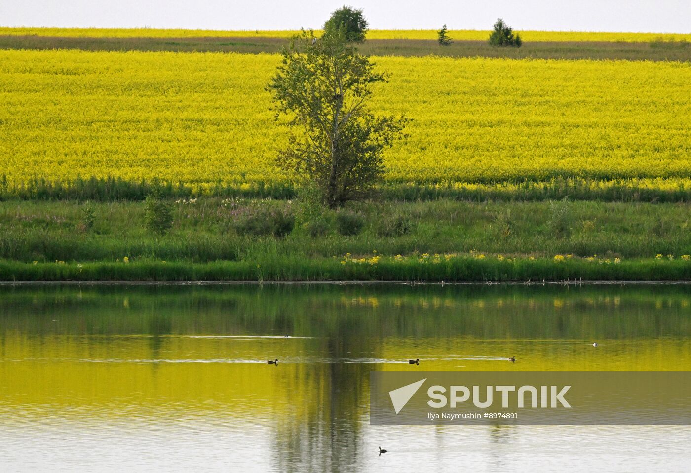 Russia Agriculture Grain Crops