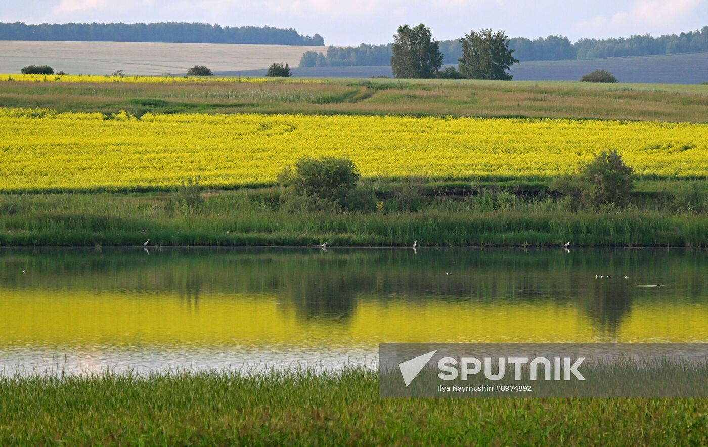Russia Agriculture Grain Crops
