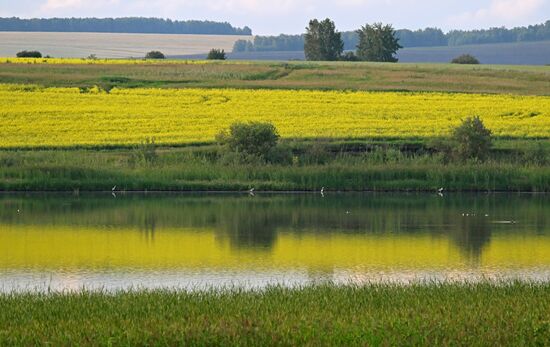 Russia Agriculture Grain Crops