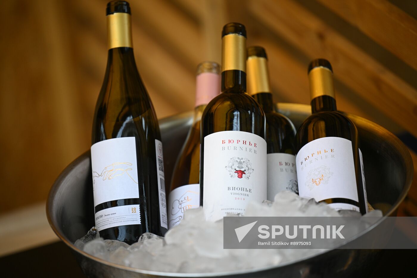 Russia Winemaking Festival
