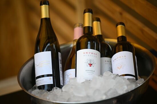 Russia Winemaking Festival