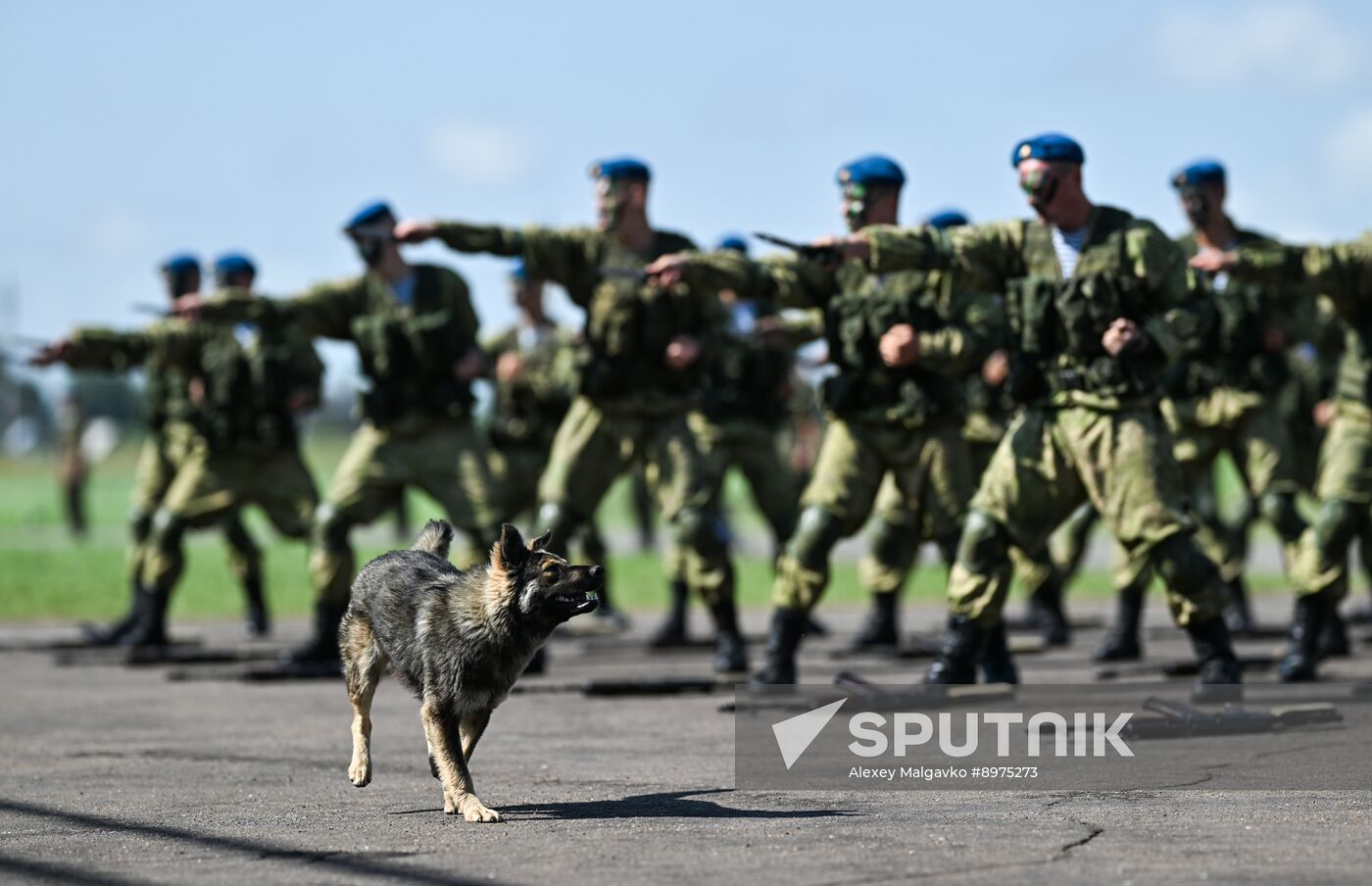 Russia Airborne Forces Day