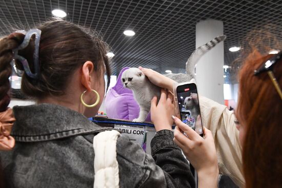 Russia Cat Show