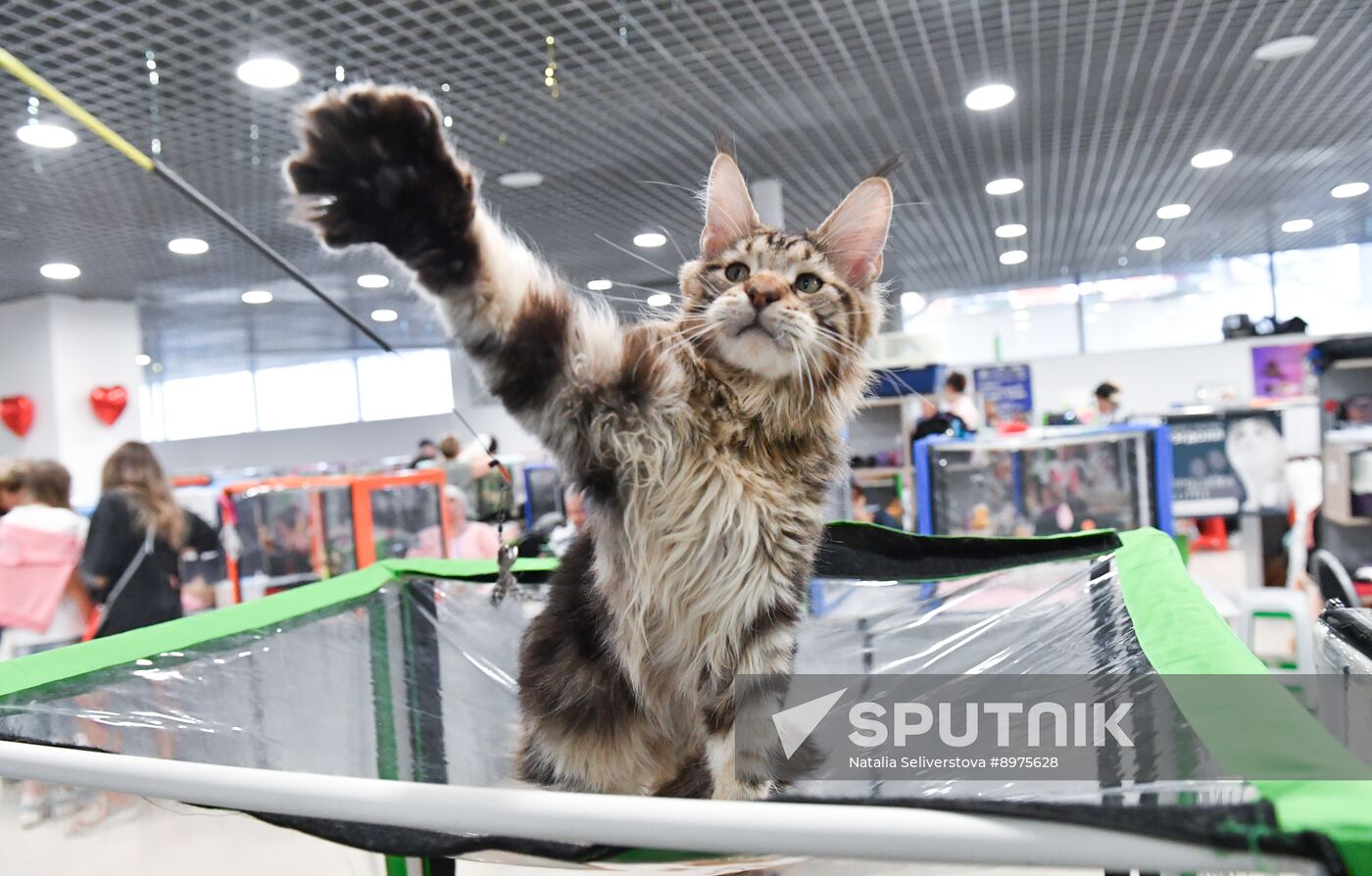 Russia Cat Show