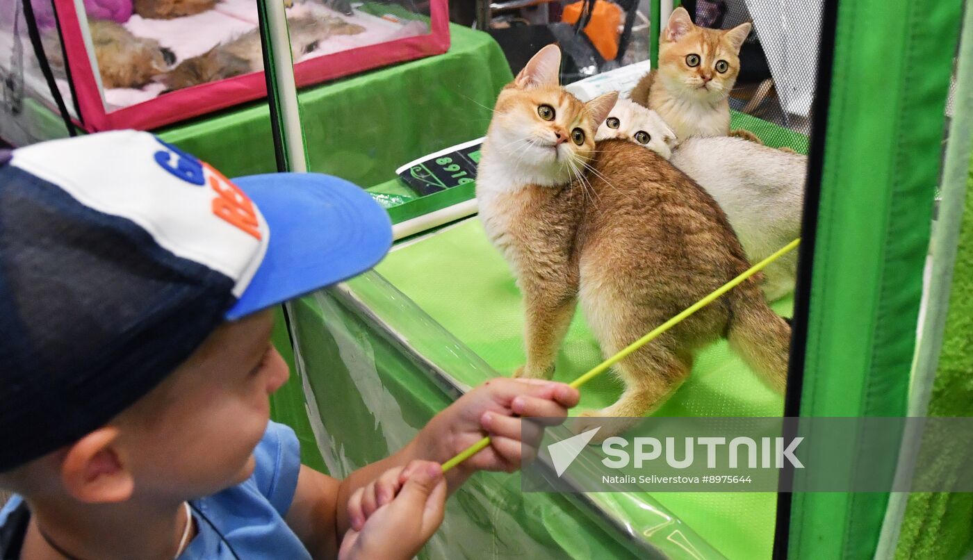 Russia Cat Show