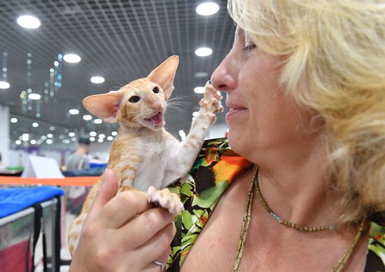 Russia Cat Show