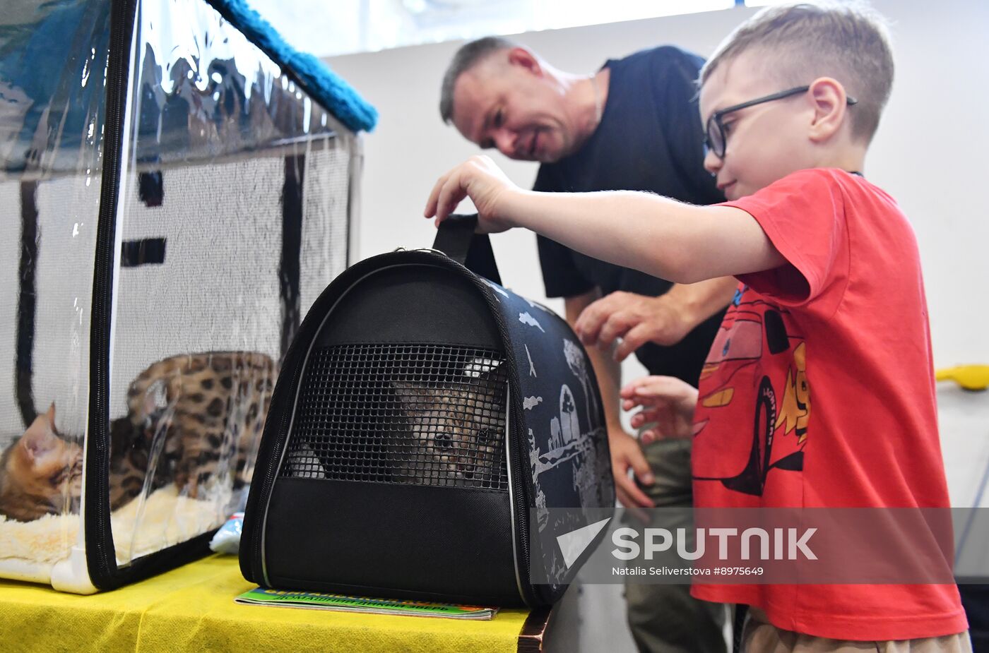 Russia Cat Show