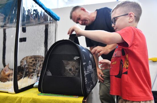 Russia Cat Show