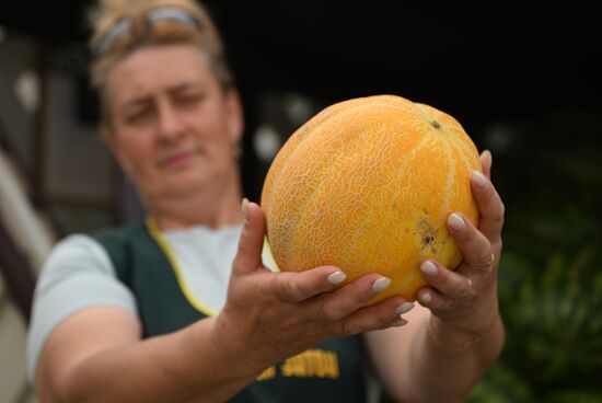 Russia Watermelons Selling