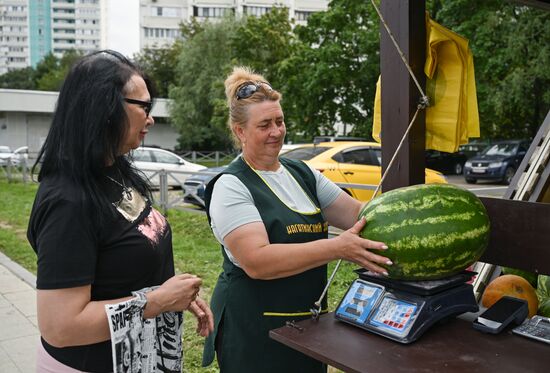 Russia Watermelons Selling
