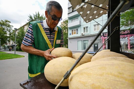 Russia Watermelons Selling