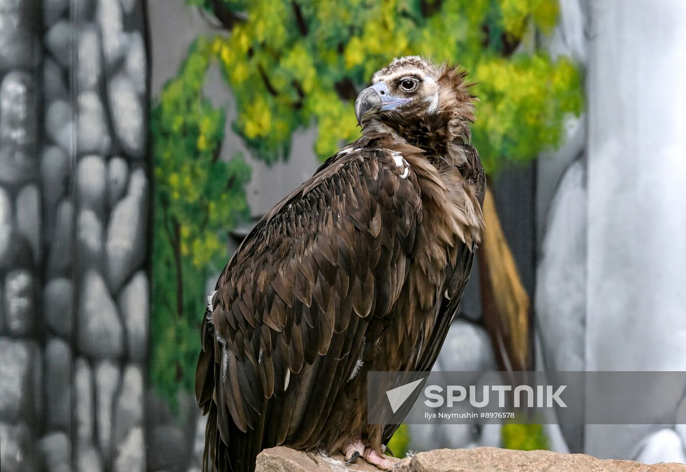 Russia Zoo