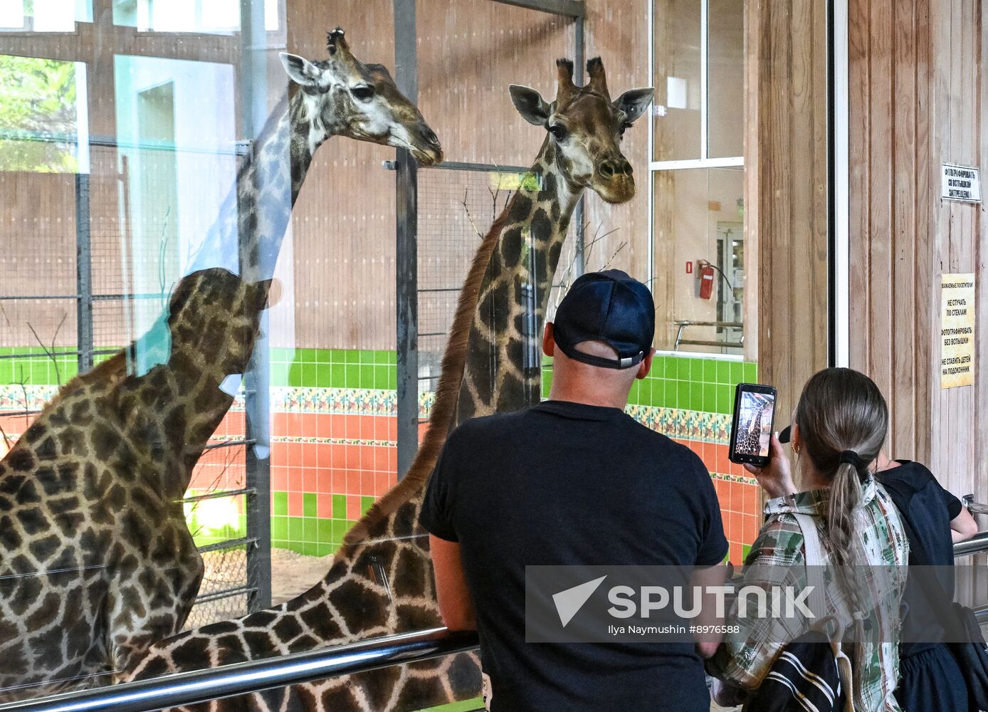 Russia Zoo