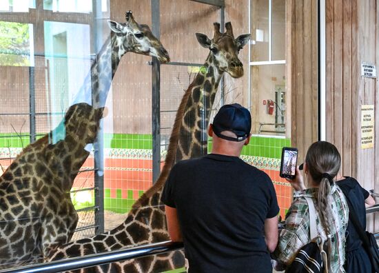 Russia Zoo
