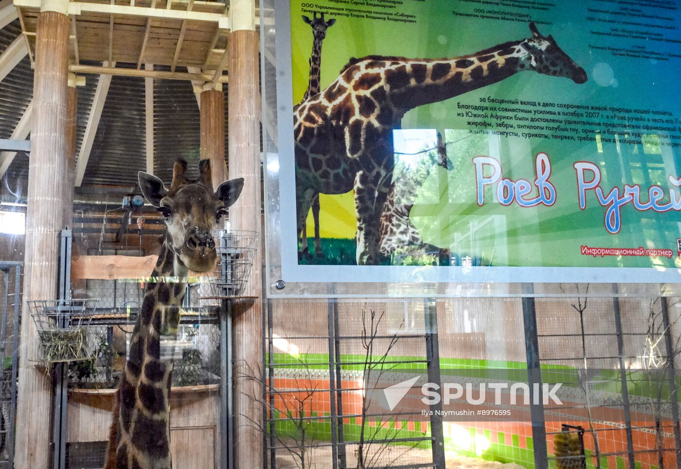 Russia Zoo