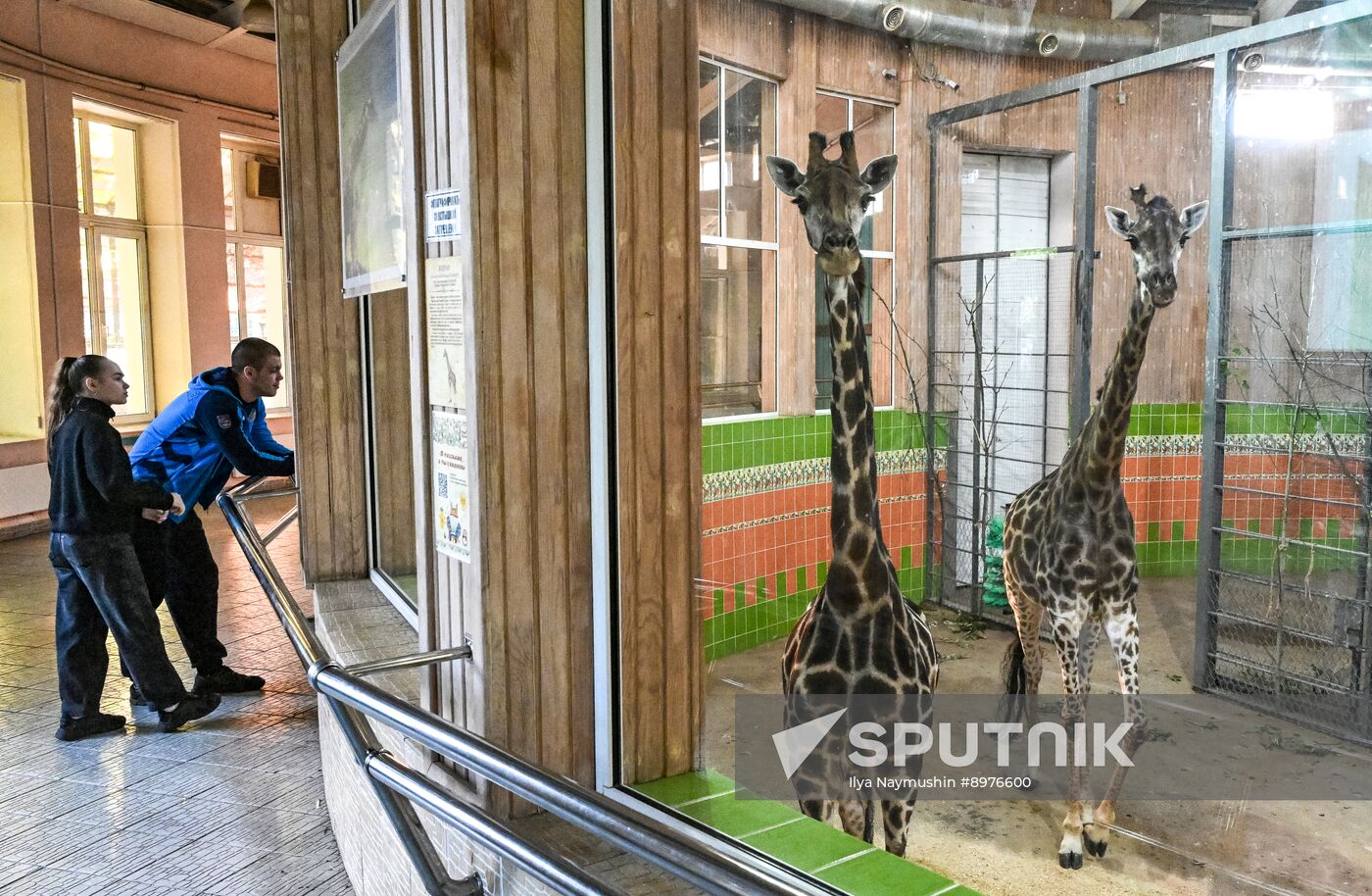 Russia Zoo