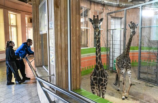Russia Zoo