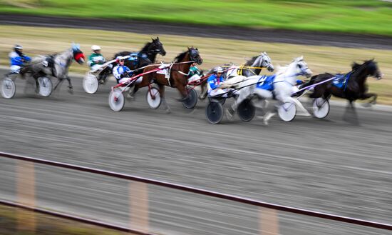 Russia Equestrian Sports Competition