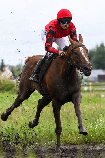 Russia Equestrian Sports Competition