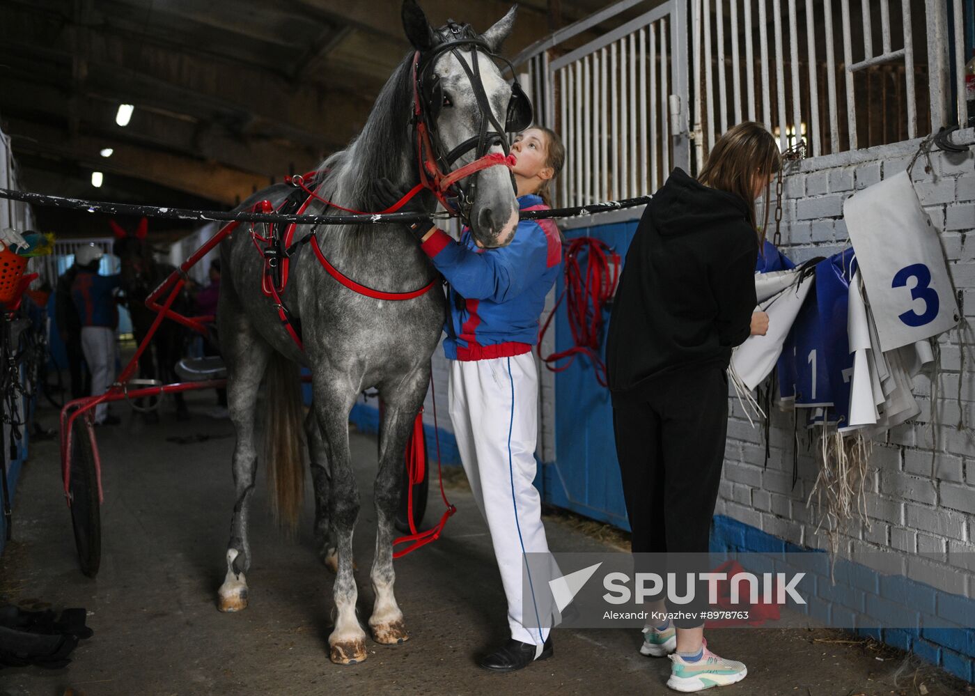 Russia Equestrian Sports Competition