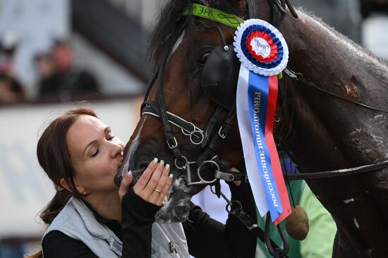 Russia Equestrian Sports Competition