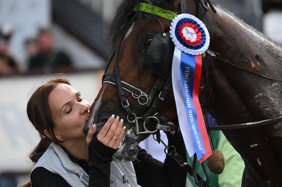 Russia Equestrian Sports Competition