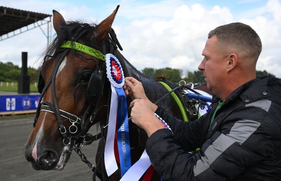 Russia Equestrian Sports Competition
