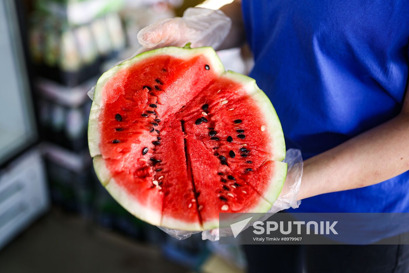Russia Agriculture Watermelon Season