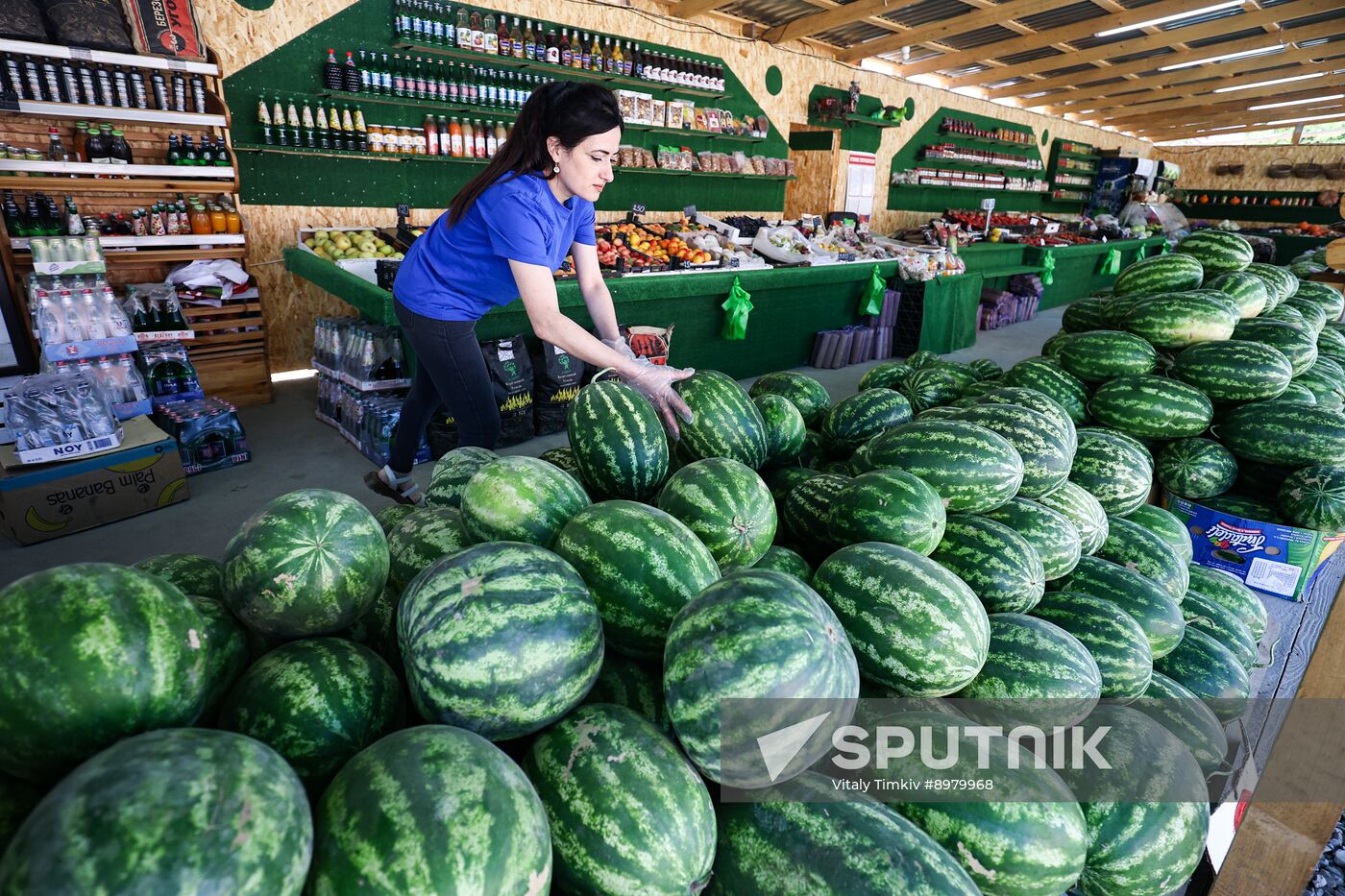 Russia Agriculture Watermelon Season