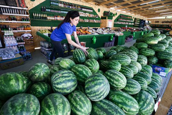 Russia Agriculture Watermelon Season