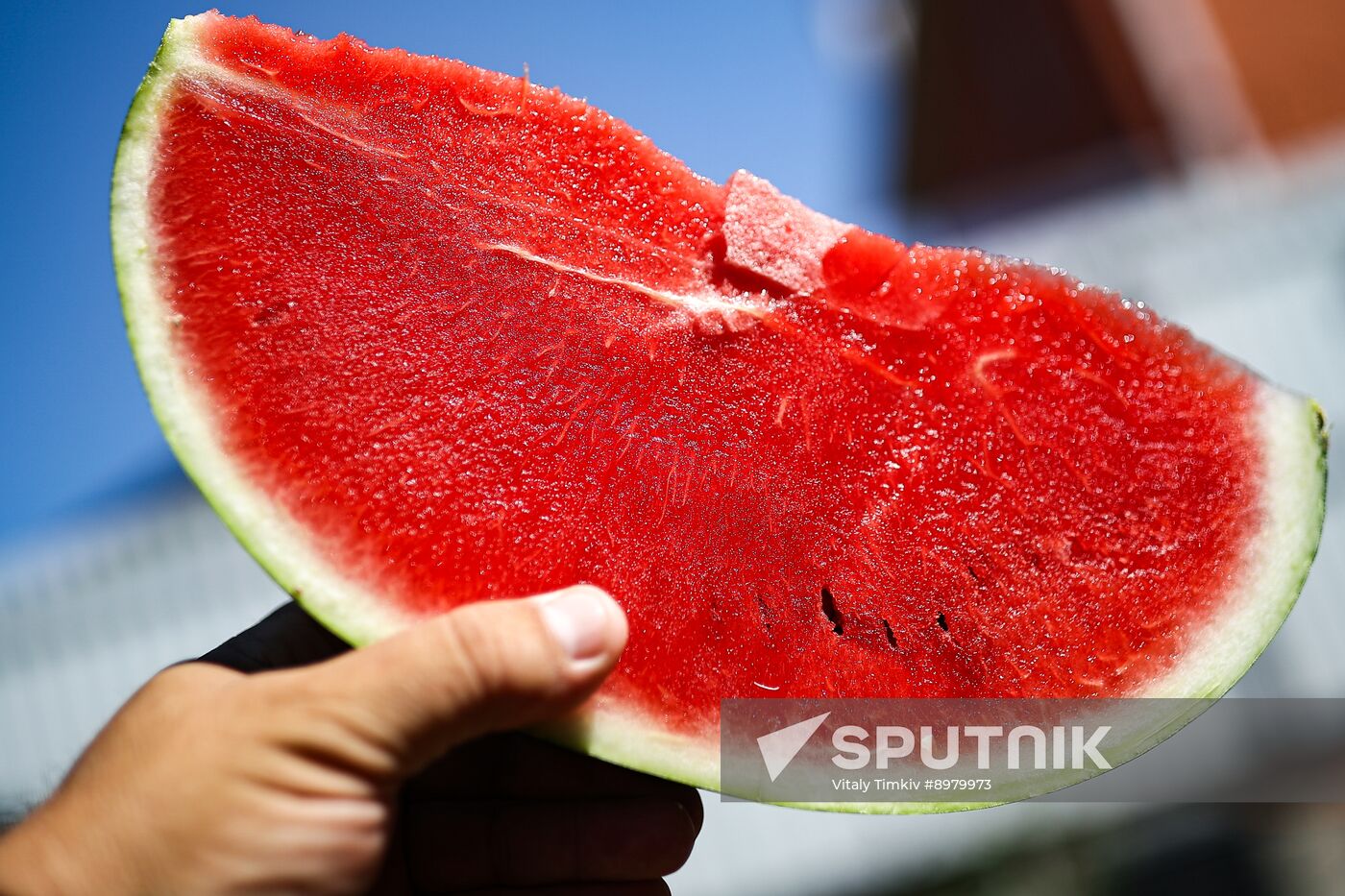 Russia Agriculture Watermelon Season