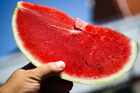 Russia Agriculture Watermelon Season