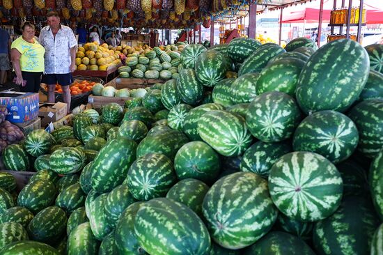 Russia Agriculture Watermelon Season