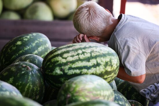 Russia Agriculture Watermelon Season