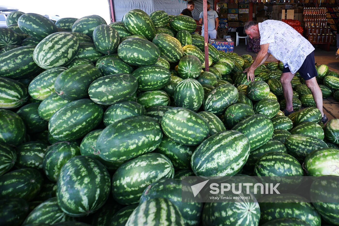 Russia Agriculture Watermelon Season