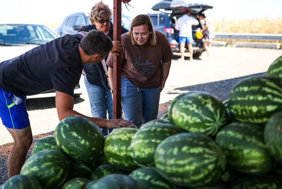 Russia Agriculture Watermelon Season
