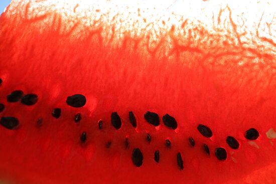 Russia Agriculture Watermelon Season