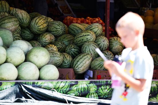 Russia Agriculture Watermelon Season