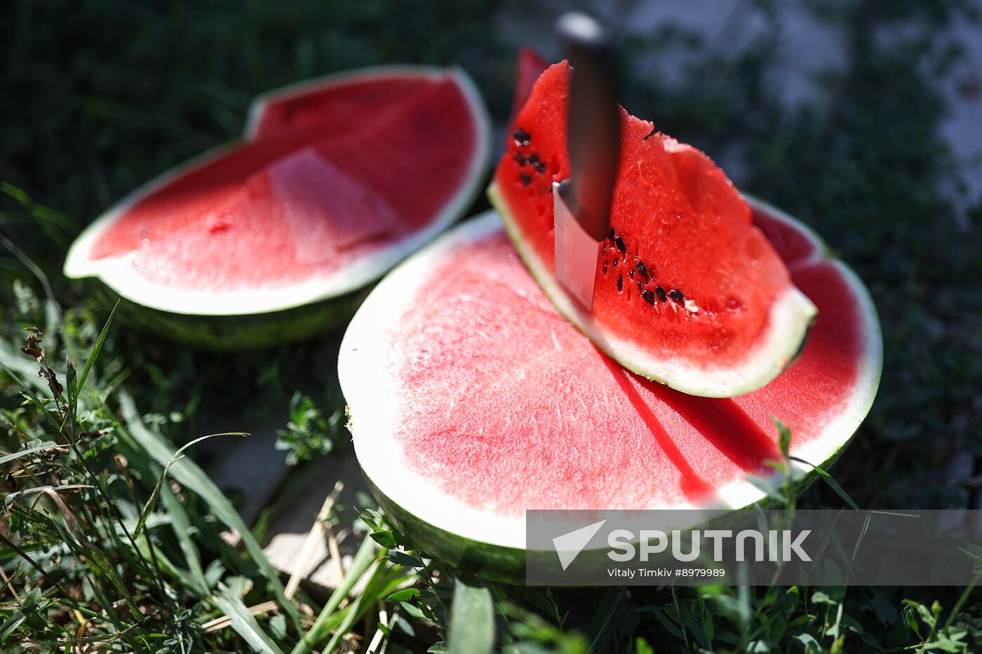 Russia Agriculture Watermelon Season