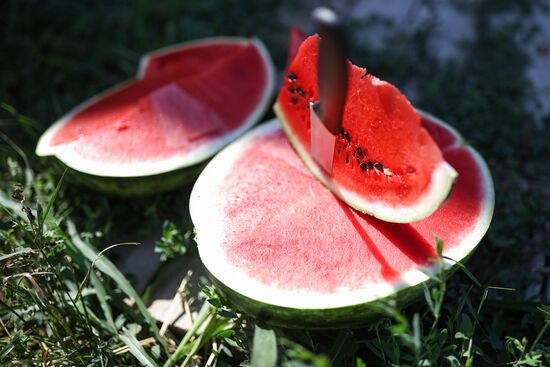 Russia Agriculture Watermelon Season