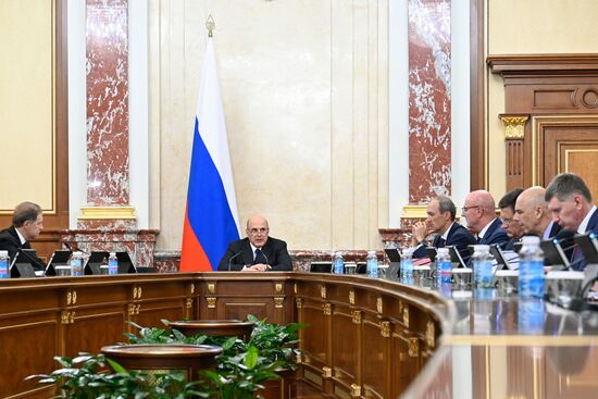 Russia Mishustin Government